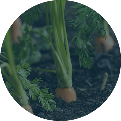 Discover our membership program